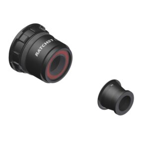 DT Swiss l Freebody l Sram XD Ratchet EXP