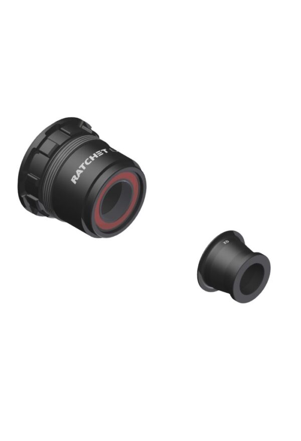 DT Swiss l Freebody l Sram XD Ratchet EXP