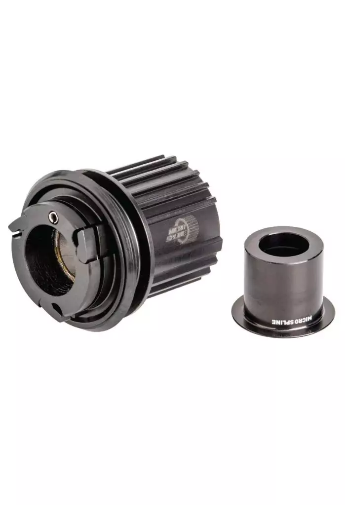 DT SWISS Freehub Conversion Kit For Shimano 12spd (Microspline