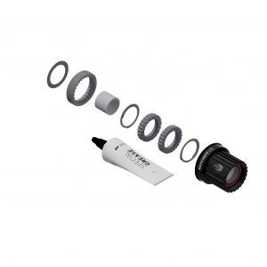 DT SWISS 3pawl to Ratchet LN Upgrade Kit